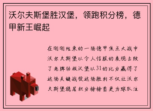 沃尔夫斯堡胜汉堡，领跑积分榜，德甲新王崛起