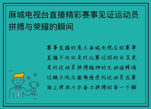 麻城电视台直播精彩赛事见证运动员拼搏与荣耀的瞬间